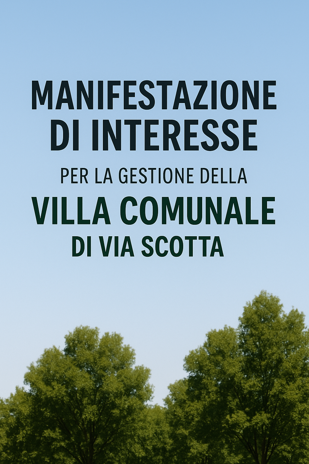 Immagine anteprima